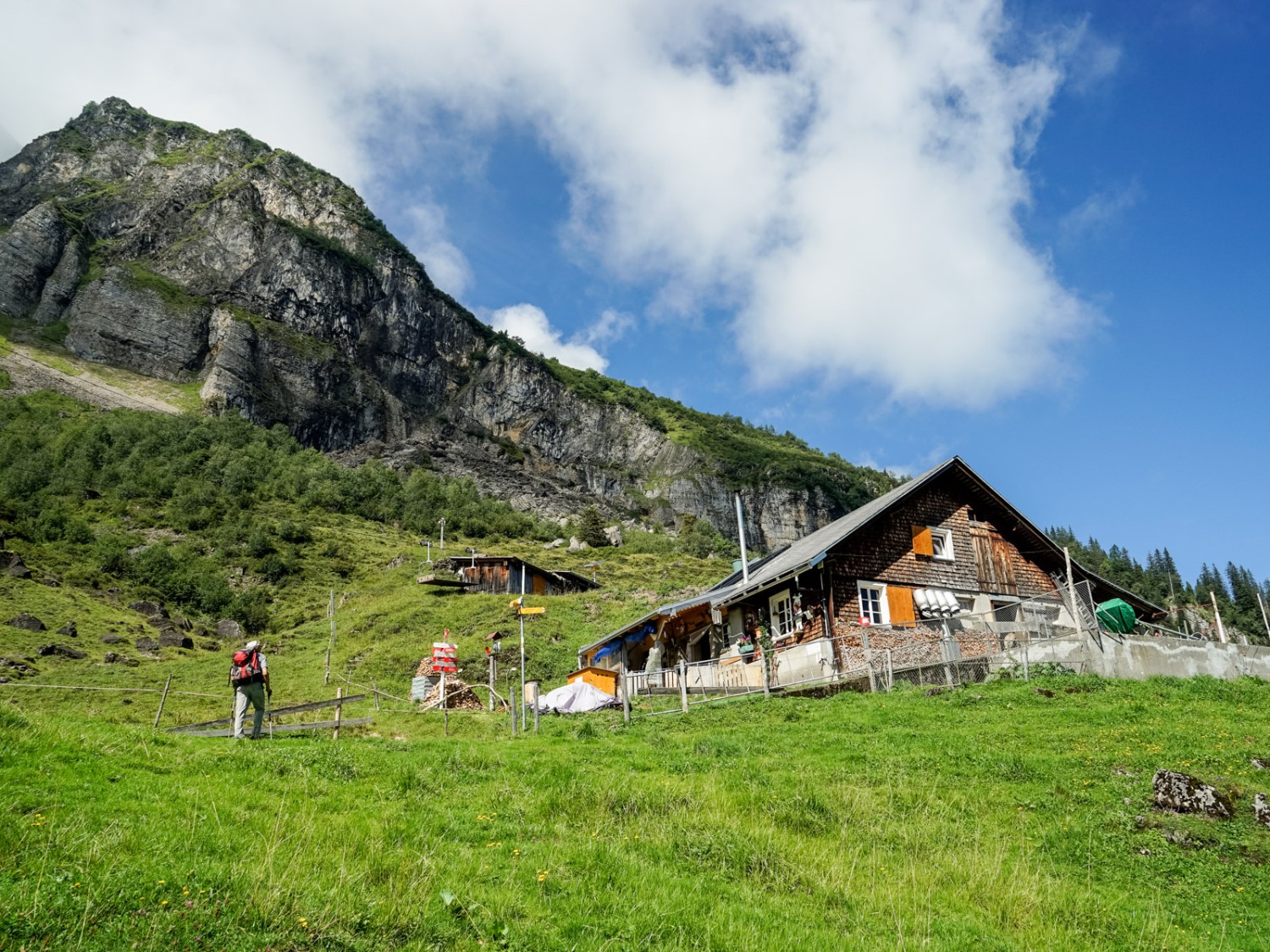 Auf der Alp Gigen. Bild: Fredy Joss