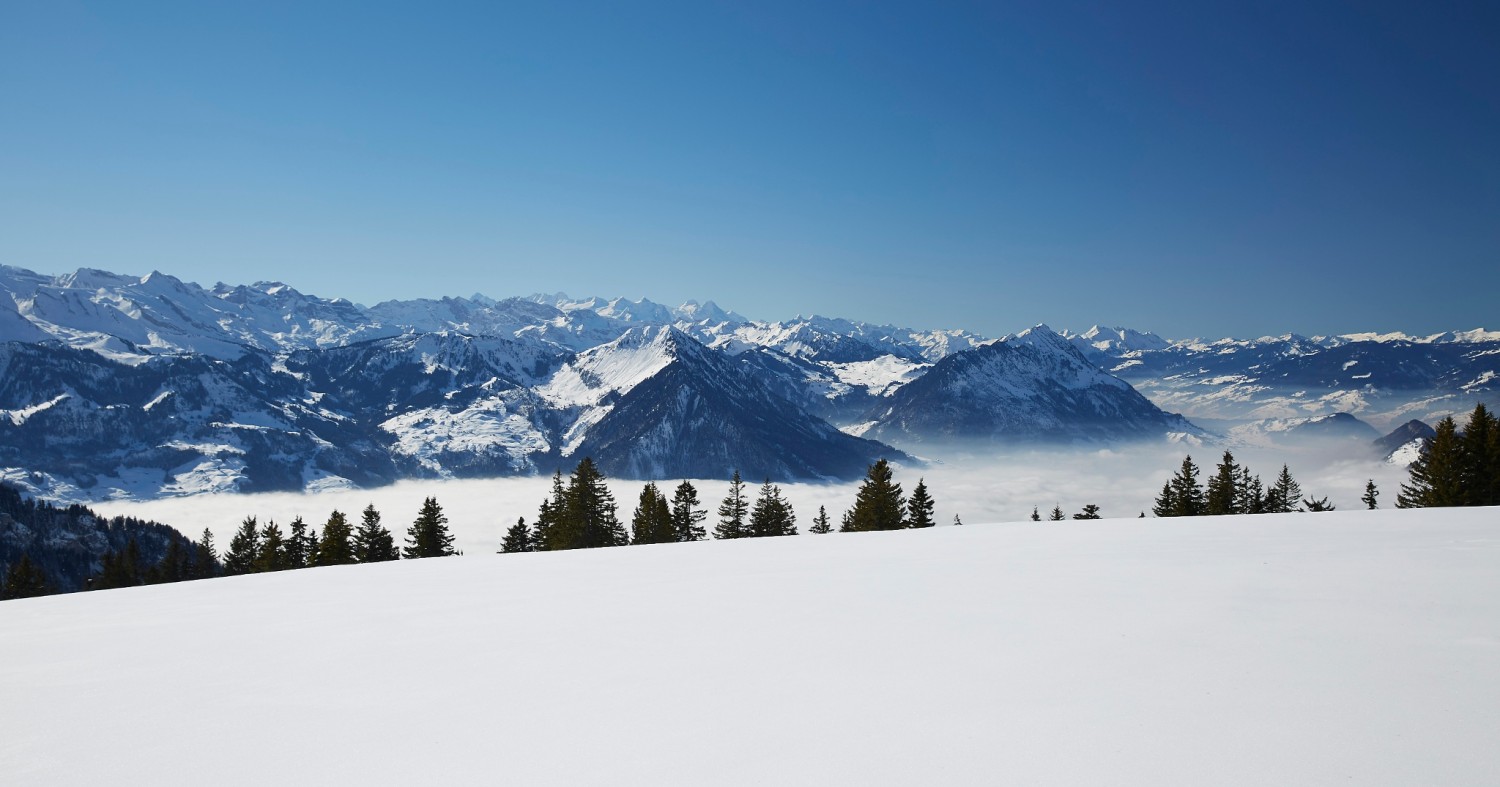 Foto: ©RIGI BAHNEN AG, Gäste-Service Rigi