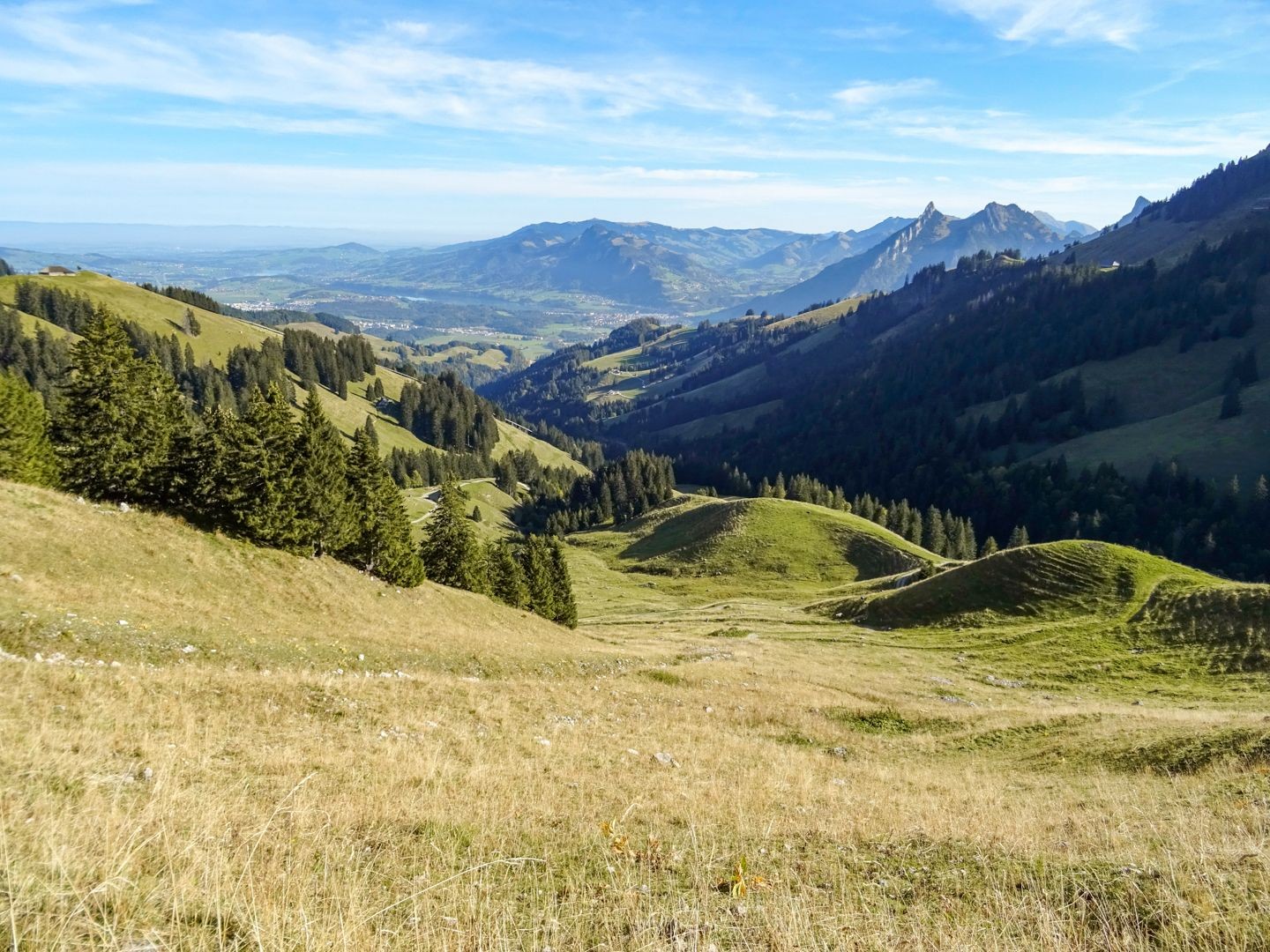 Aussicht bei Plan-Francey übers Greyerzerland.