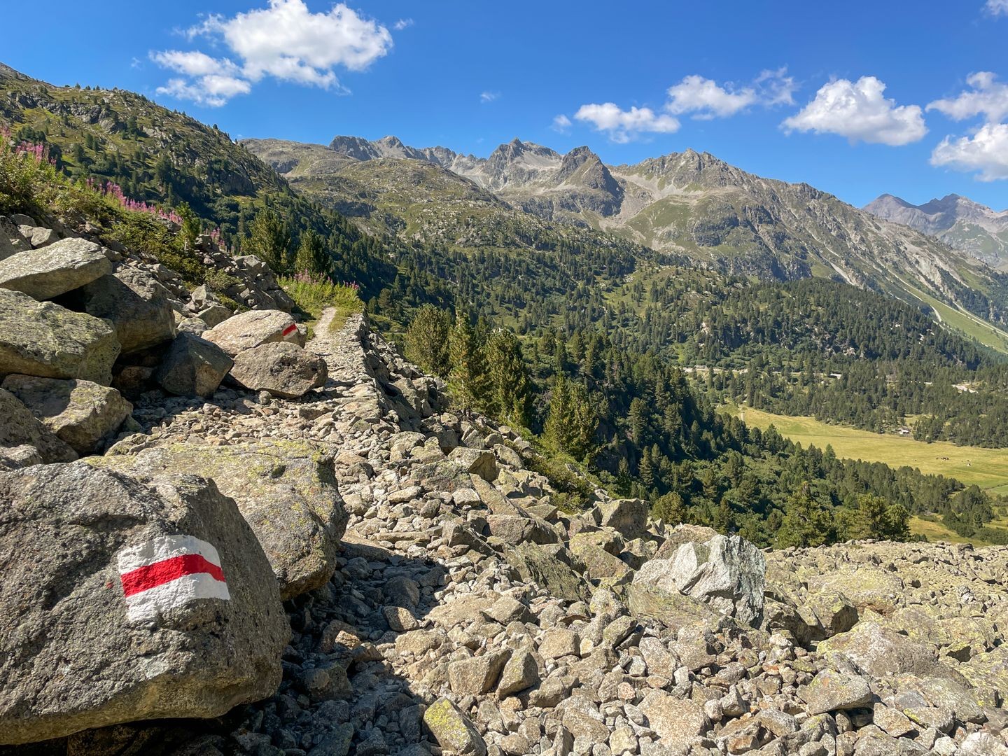 Les arbres se font plus clairsemés, le col approche.