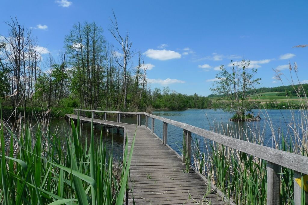 Hüttwilersee