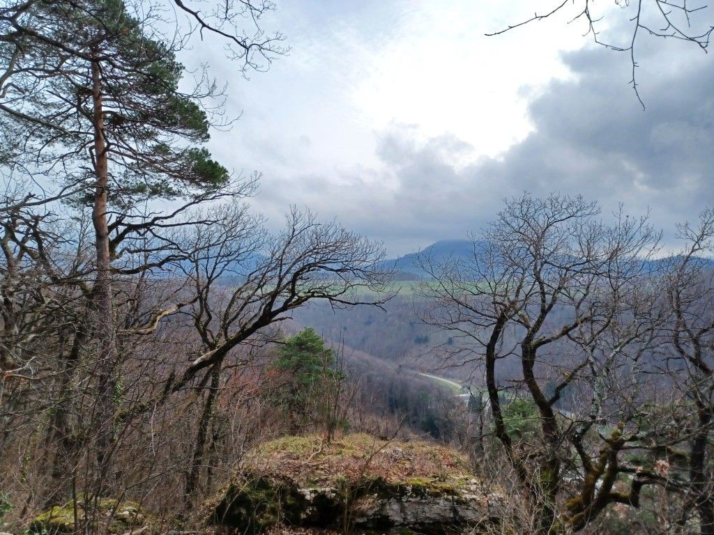 Blick über das Eital Richtung Wisenberg