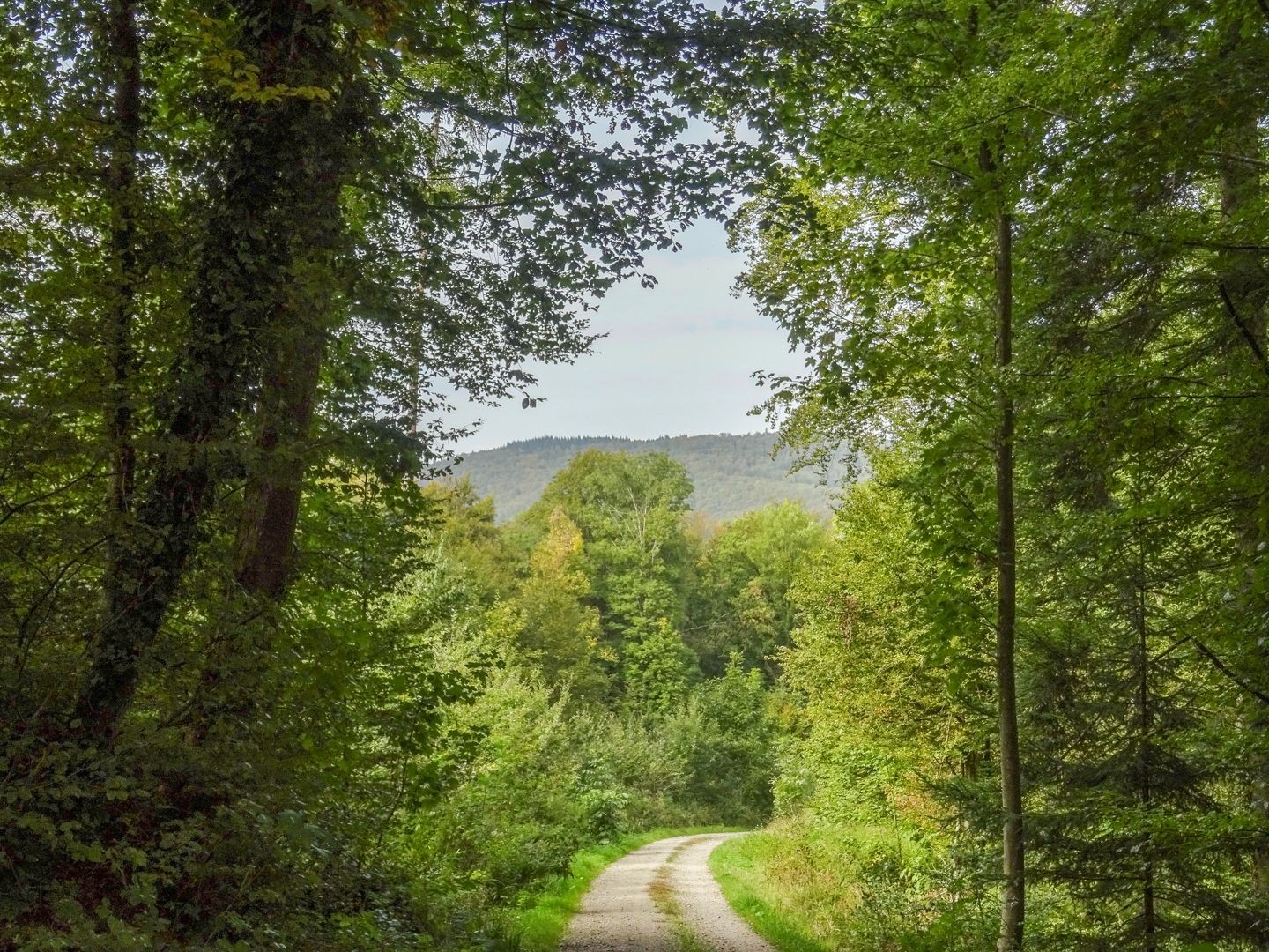 Oberhalb von Veltheim, wo die Wanderung beginnt.