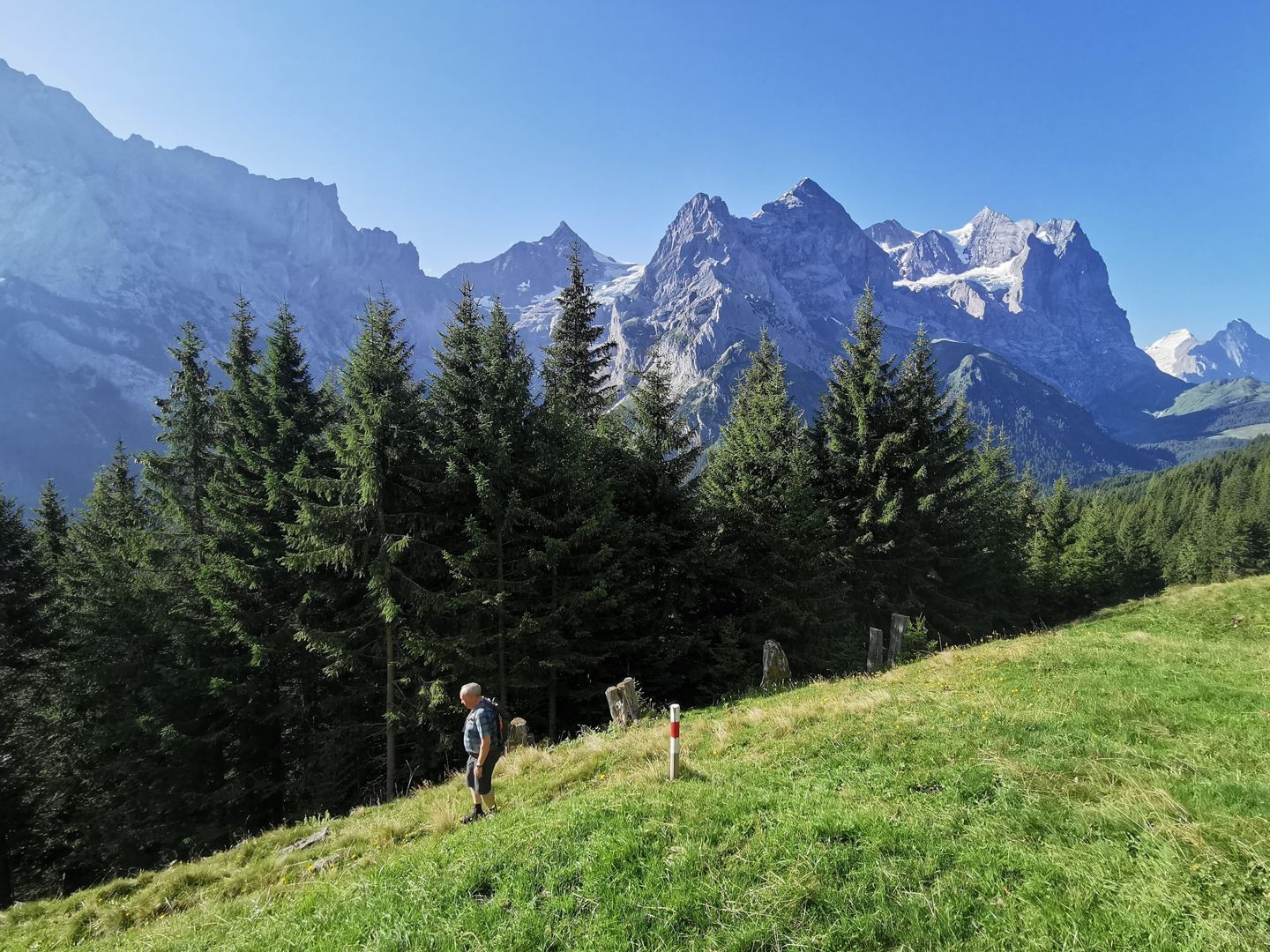 Dans la descente de Chrueteren à Gschwantenmad, avec le Rosenlaui, le Wellhorn et le Wetterhorn en arrière-plan.