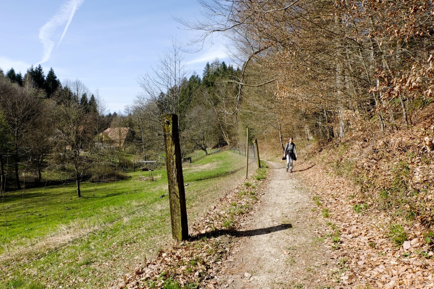 Der Weg führt an der Grabenöle mit dem Mülibach vorbei nach Oberwil b. Büren. Bis Anfang des 20. Jahrhunderts wurde hier aus Nüssen Öl gepresst und aus Knochen Knochenmehl gestampft, das als Dünger auf den Feldern verteilt wurde.