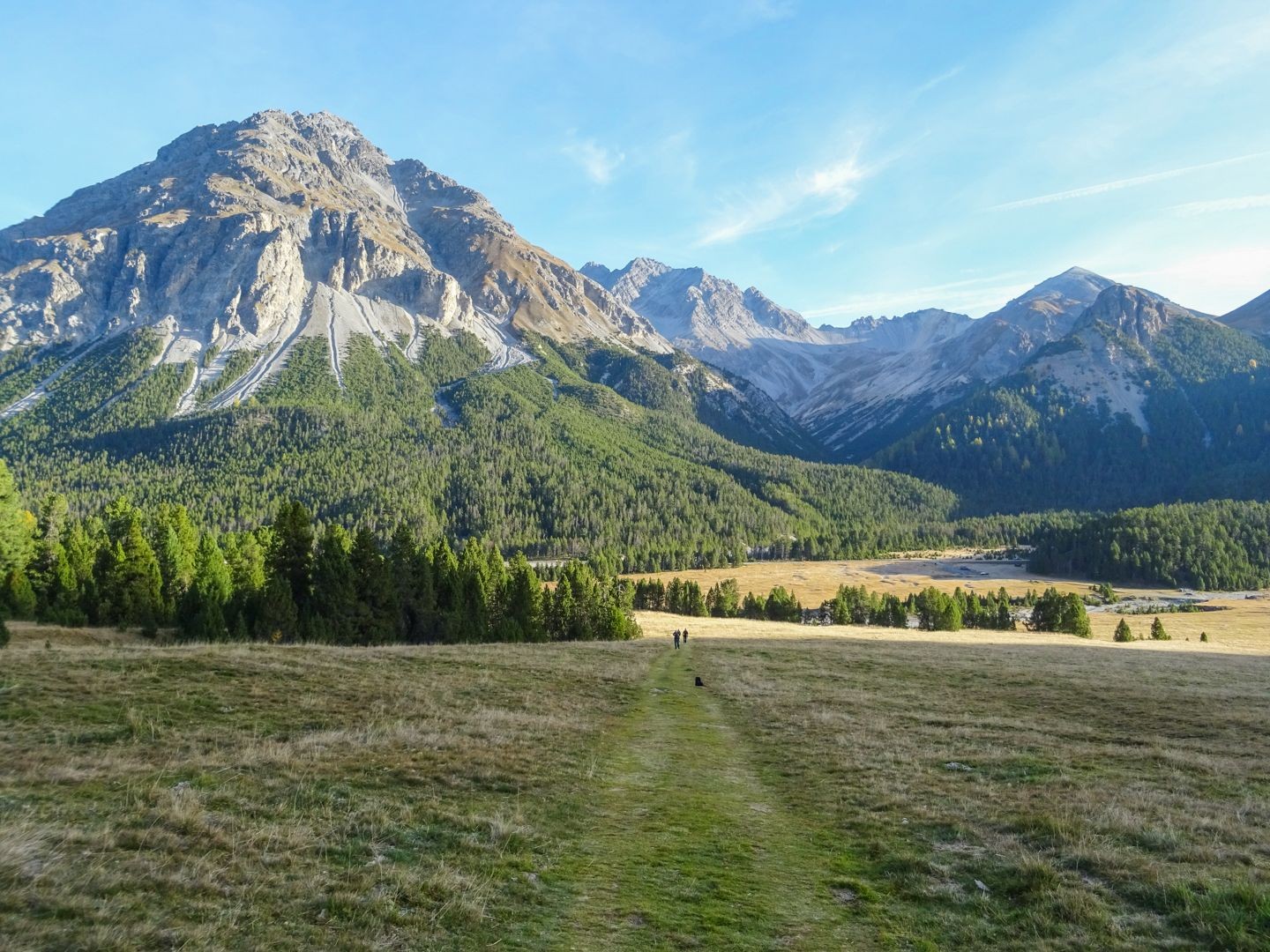 Alp Buffalora.