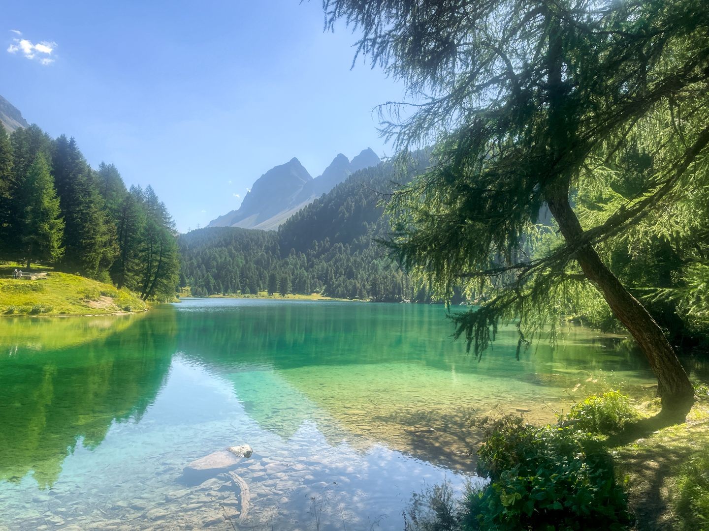 La montée au col de l’Albula se fait à l’ombre et passe à côté du joli lac de Palpuegna.