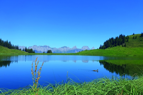 Von Oberterzen zu den Seebenseen