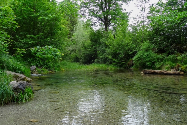 Lungo la Sarina e circondati dalle Prealpi friburghesi