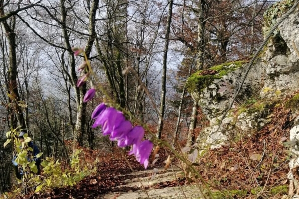 Wanderung ins Blaue 3