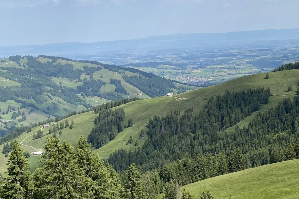 Hohmattli, Gebiet Schwarzsee, FR