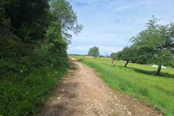 Belle quiétude en Ajoie, sur le chemin des Crêtes du Jura