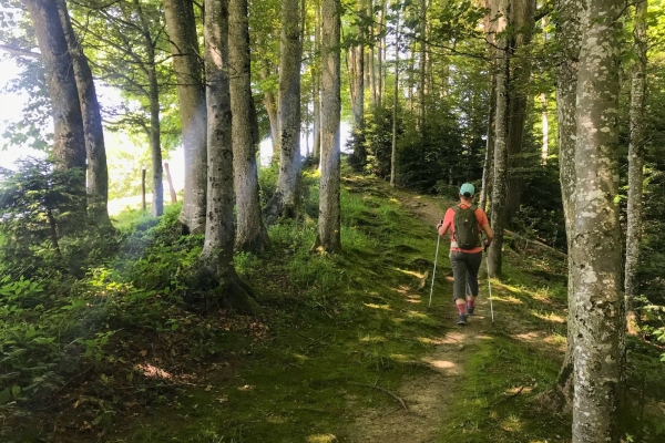 Randonnée familiale dans un paysage de drumlins