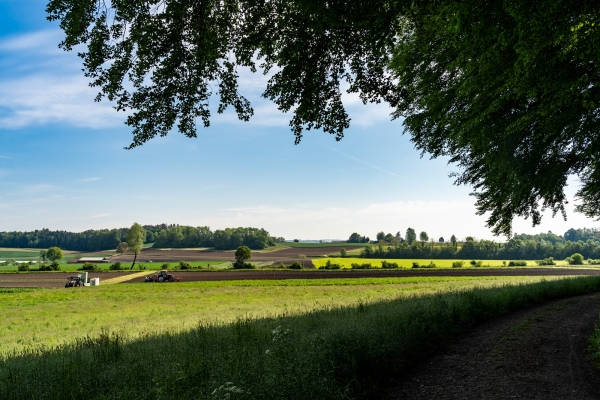 Sur les traces des Habsbourg