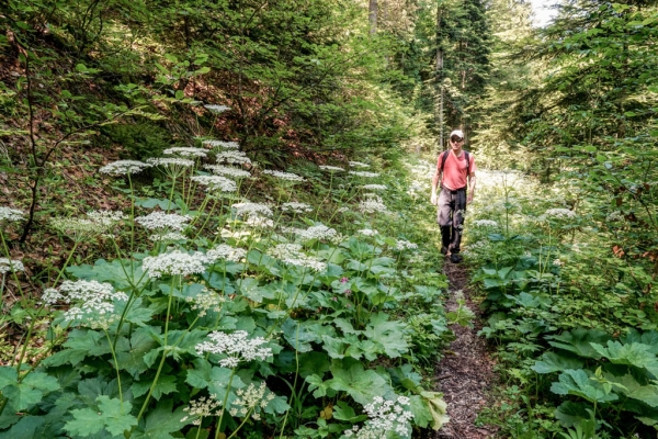 Über mehrere Jurafalten nach Moutier