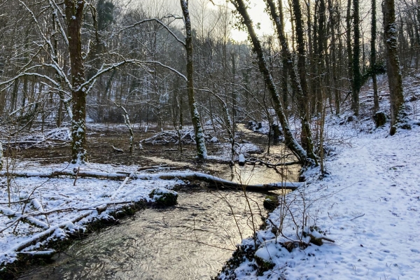 Le Reiat, dans le Parc naturel Schaffhouse