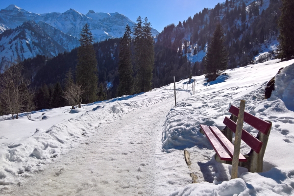 Höhenweg in Braunwald