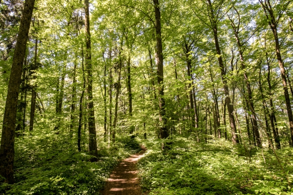 Montagne chargée d’histoire dans le Jura argovien