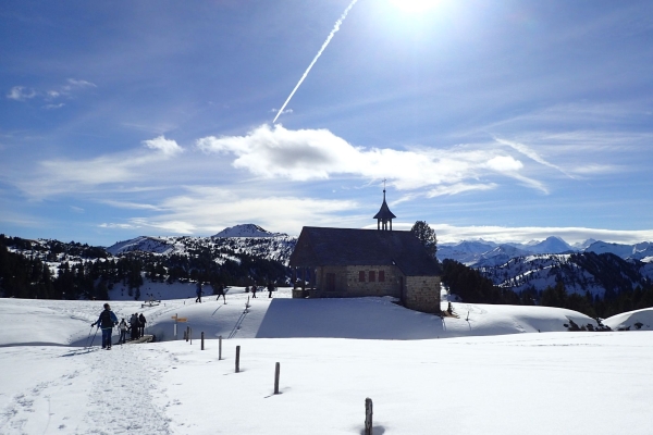 Schneeschuhwanderung Rickhubel - Trogenegg - Langis