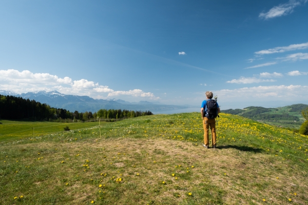 Vom Waadtländer Mittelland ins Lavaux