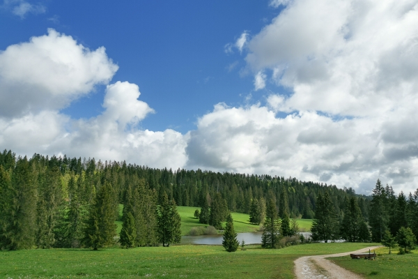 Gorge sauvage dans les Franches-Montagnes