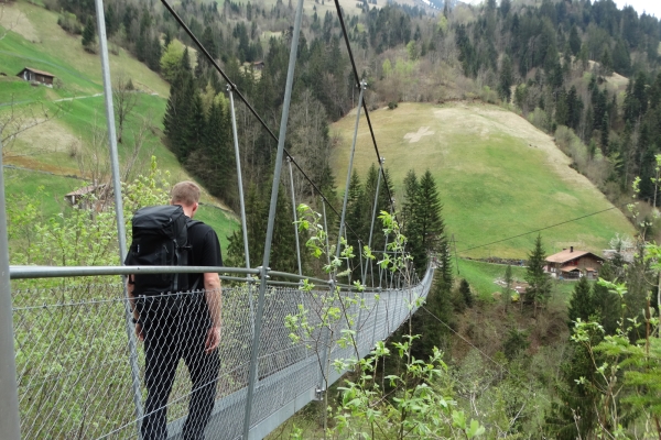 Wilde Auenlandschaft im Entschligetal