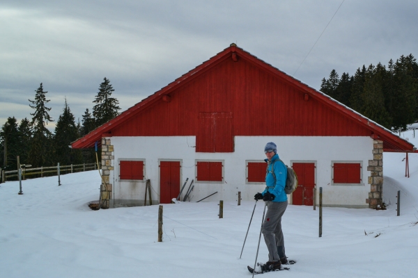 Randonnée en raquettes sur le Chasseron