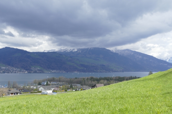 Vom Simmental zum Thunersee