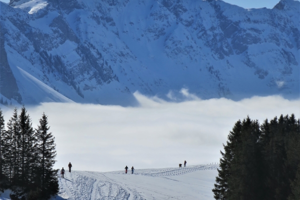 Hügeltour im Appenzellerland