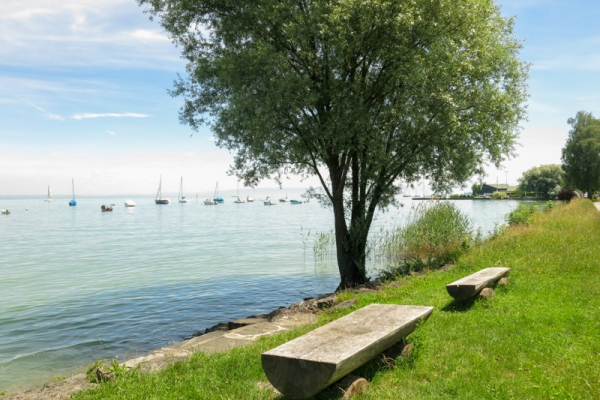 Parcours sans obstacles au bord du lac