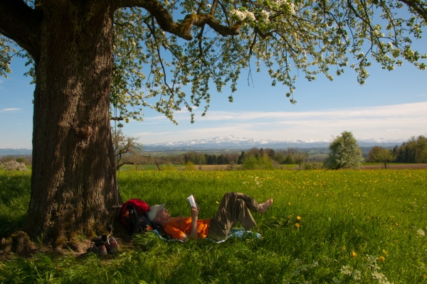 Frühling auf dem Seerücken