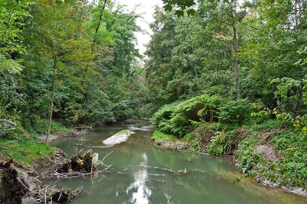 Schiffskanal im Märchenwald 