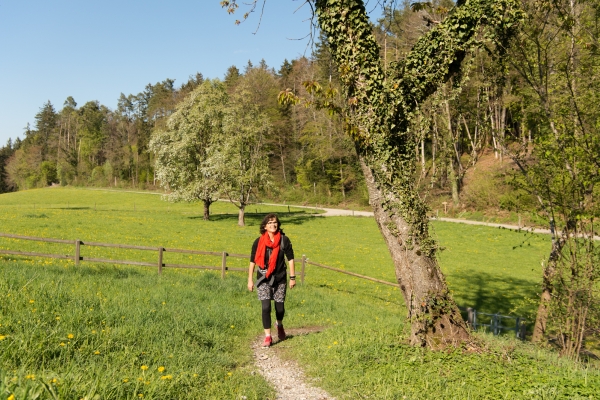 De Weinfelden à Frauenfeld