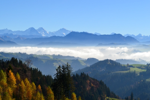 L’Emmental sous son plus beau jour