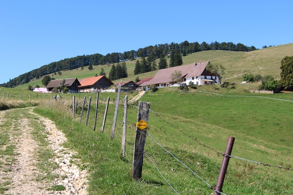 Randonnée sur la troisième chaîne du Jura