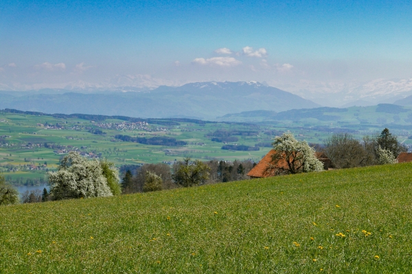 Vom Wynental zum Sempachersee