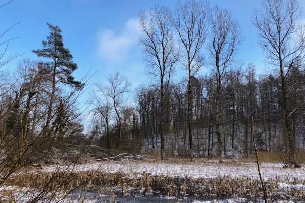 Wanderung im Reiat im Naturpark Schaffhausen