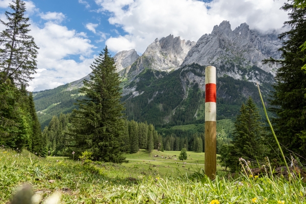 D’alpage en alpage dans la vallée de Rychenbach