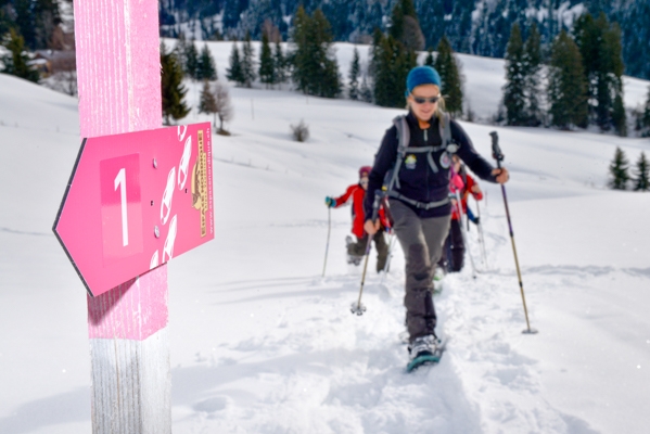 Parcours paisible au-dessus de Rougemont