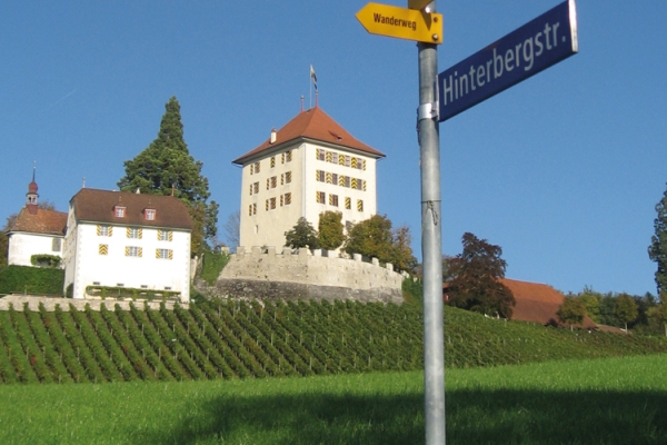 Aufs Schloss Heidegg