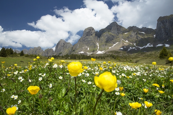 Printemps sur l’Alvier