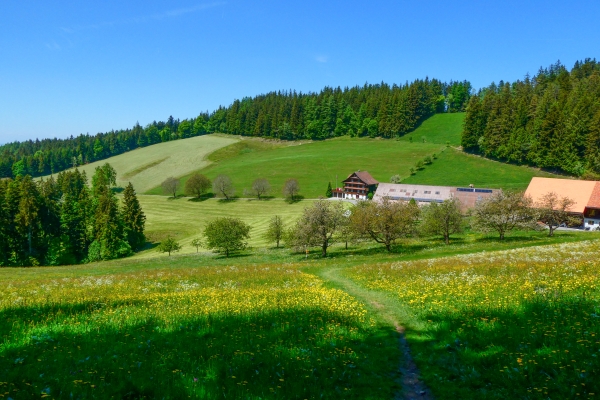 Auf dem Panoramaweg Ägerital