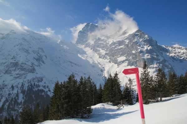 Grosse Schneeschuhspuren ob Engelberg