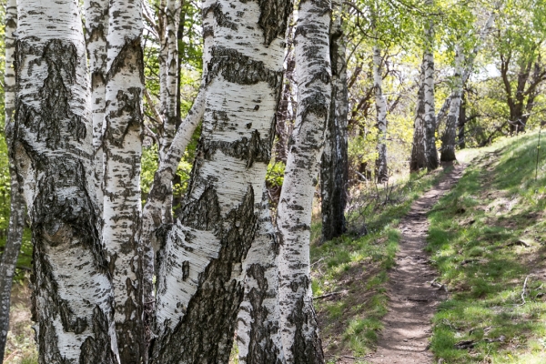 Vers Tesserete par la vallée du Vedeggio