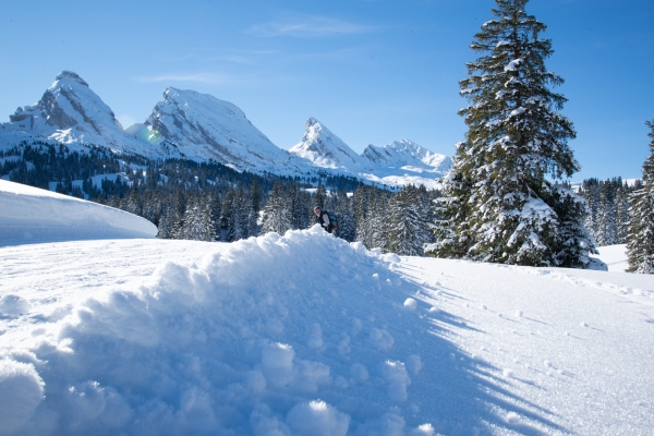 Randonnée en raquettes dans le Toggenburg