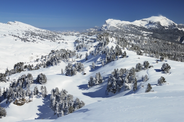 Parcours de raquettes au Niederhorn