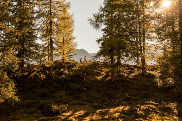 Auf dem Köhlerweg im Puschlav