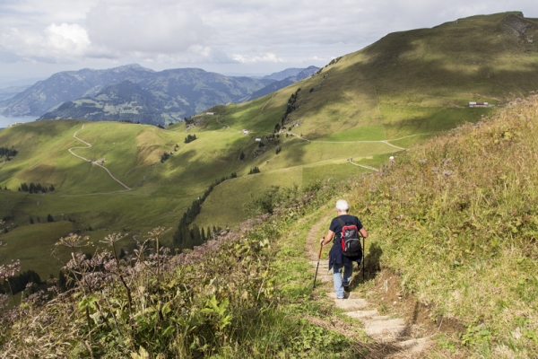 Le sentier d’observation de la faune