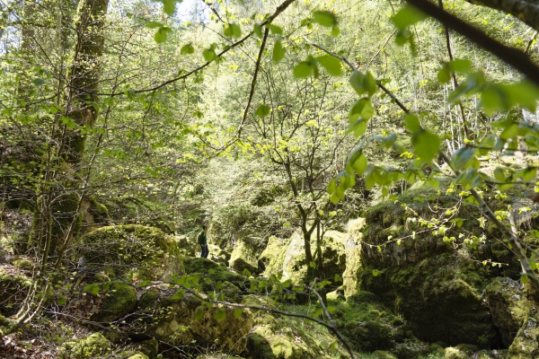 Durch die grüne Schlucht: die Gorges de l’Orbe