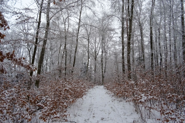 Wanderung im Reiat im Naturpark Schaffhausen